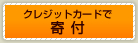 �N���W�b�g�J�[�h�Ŋ�t